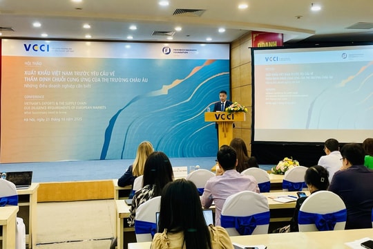 Doanh nghiệp cần nhanh chóng ứng phó trước yêu cầu thẩm định chuỗi cung ứng của thị trường châu Âu