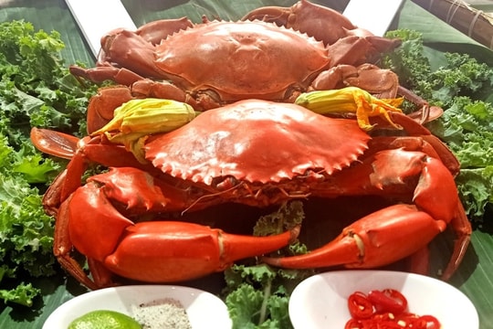 Giữa tháng 11 về tỉnh địa đầu cực Nam Tổ quốc thưởng thức cua Cà Mau