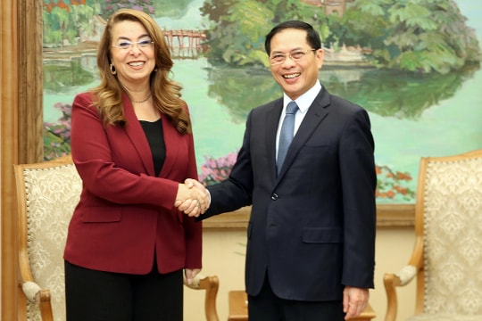 Việt Nam tăng cường hợp tác với cơ quan LHQ trong phòng chống tội phạm mạng