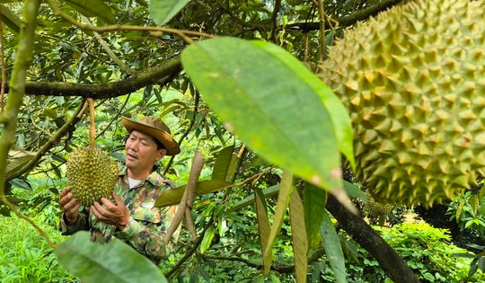 Xuất khẩu nông sản chú ý, Trung Quốc vừa ban hành chính sách mới
