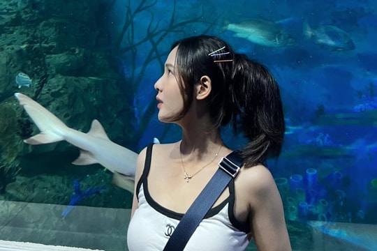 Bạn gái 10 năm của buitruonglinh