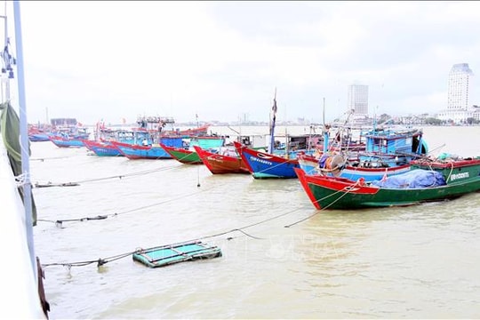 Giảm thiểu thiệt hại về người và tài sản trong bão số 12