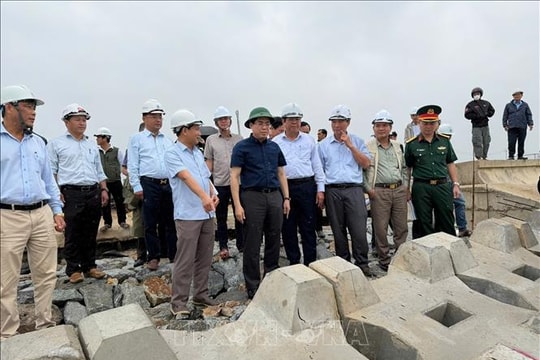 Quảng Ngãi: Kiểm tra dự án khắc phục, chống sạt lở bờ biển