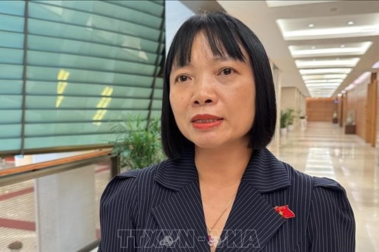 'Làm sạch, làm giàu' dữ liệu đất đai phải đúng tinh thần chuyển đổi số