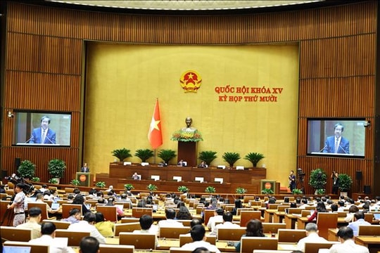 Hoàn thiện hệ thống pháp luật, xây dựng nền giáo dục Việt Nam mở, thực học, thực nghiệp