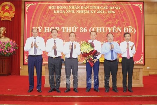 Phê chuẩn kết quả bầu, miễn nhiệm Phó Chủ tịch UBND hai tỉnh Hưng Yên, Cao Bằng