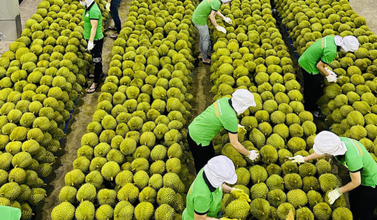 Trung Quốc ra quy định mới về nhập khẩu nông sản