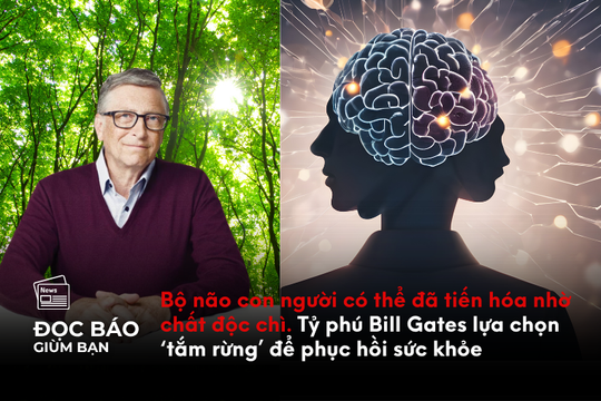 Bộ não con người có thể đã tiến hóa nhờ chất độc chì. Tỷ phú Bill Gates lựa chọn ‘tắm rừng’ để phục hồi sức khỏe