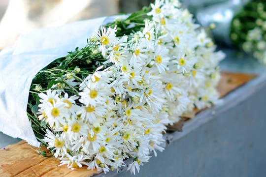 10 điều nên làm ngay khi Hà Nội vào thu