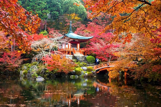 Nhật Bản dự kiến tăng phí visa