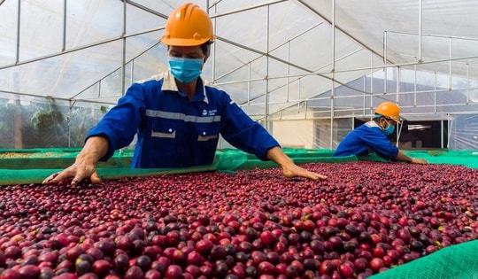 VCCI kiến nghị gỡ "hàng rào" thuế gây khó doanh nghiệp ngành nông nghiệp