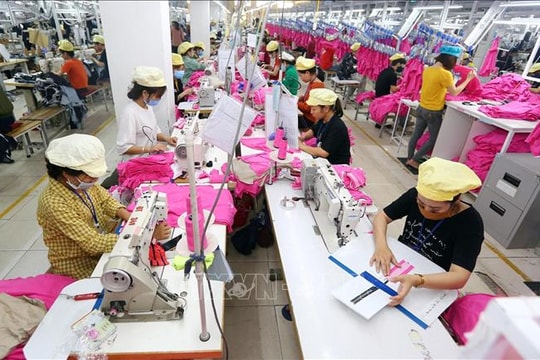 Kinh tế tư nhân tăng trưởng từ quyết sách tháo gỡ điểm nghẽn