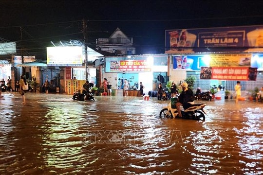 Vĩnh Long: Triều cường vượt ngưỡng gây ngập diện rộng