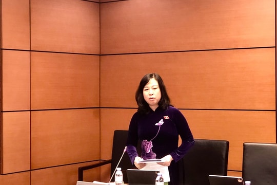 Bộ trưởng Đào Hồng Lan: Xem xét kỹ lưỡng, chặt chẽ quy định việc mang thai hộ