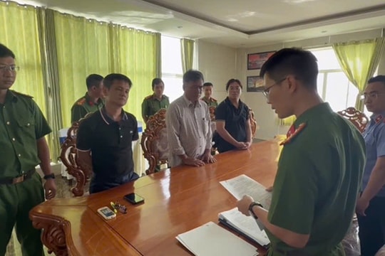 TP Hồ Chí Minh: Khởi tố vụ án gây ô nhiễm môi trường liên quan dự án Thủy cung Hòn Ngưu