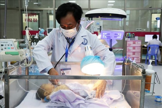 Dành hết tuổi xuân cho cuộc chiến chống sốt xuất huyết