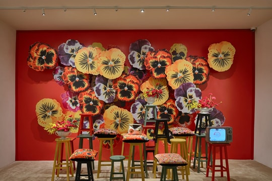 Lạc bước trong 'Giao điểm Tinh hoa và Hành trình Sống tràn Cảm hứng'