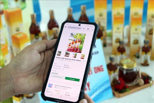 Khơi thông nguồn lực sở hữu trí tuệ đóng góp phát triển kinh tế