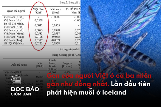Gen của người Việt ở ba miền gần như đồng nhất. Lần đầu tiên phát hiện muỗi ở Iceland