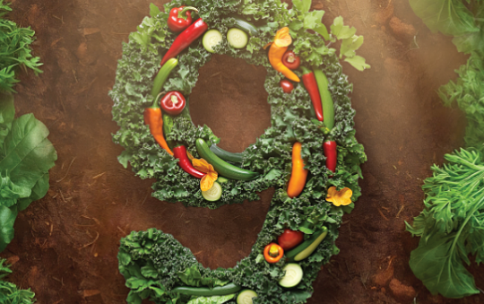 'Cuộc cách mạng thứ 9' - nông nghiệp trong kỷ nguyên mới