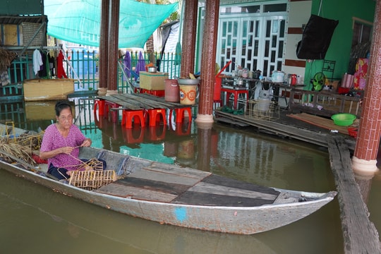 Bơi xuồng trong nhà ở đợt lũ lớn nhất thập kỷ tại Đồng Tháp Mười