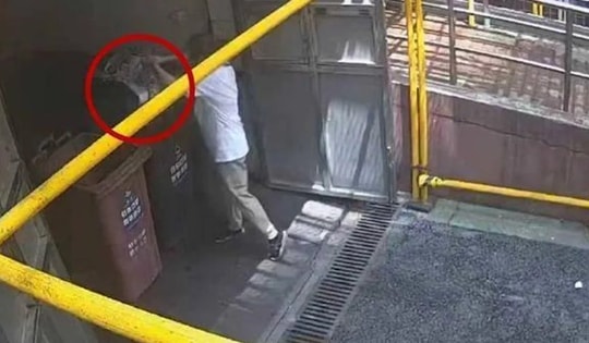 Dọn nhà giúp mẹ, cô gái vứt hộp vàng trị giá 1,8 tỷ đồng vào thùng rác