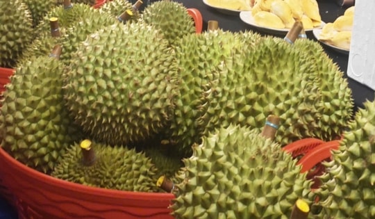 Giá sầu riêng hôm nay 23-10: Thêm lý do khiến giá sầu riêng giảm mạnh