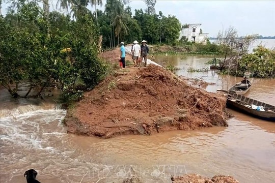 Cồn Thanh Long tiếp tục sạt lở, ảnh hưởng đời sống người dân