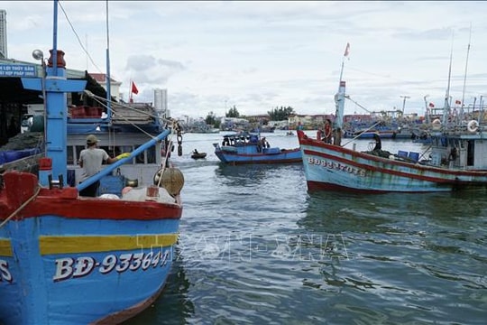 Hành động toàn diện và quyết liệt khắc phục 'thẻ vàng' IUU