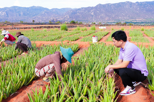 'Vua nha đam' lãi kỷ lục