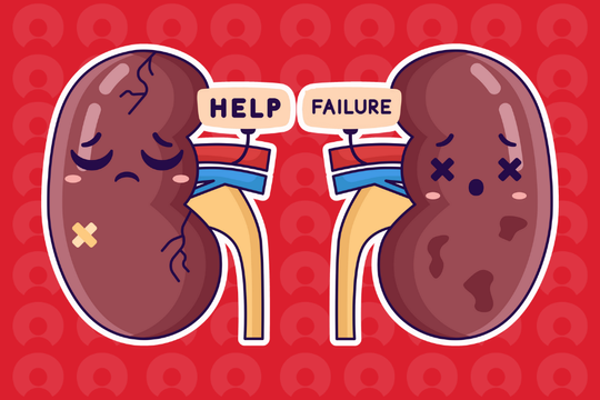 Bệnh suy thận: Thận đang suy vì bạn đang sống vội