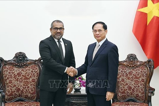 Phó Thủ tướng Bùi Thanh Sơn tiếp Bộ trưởng Ngoại giao Maldives