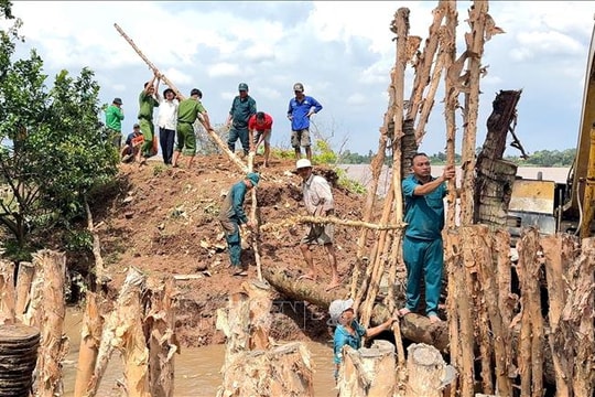Vĩnh Long: Người dân cồn Thanh Long sống 'phập phồng' bên bờ sạt lở