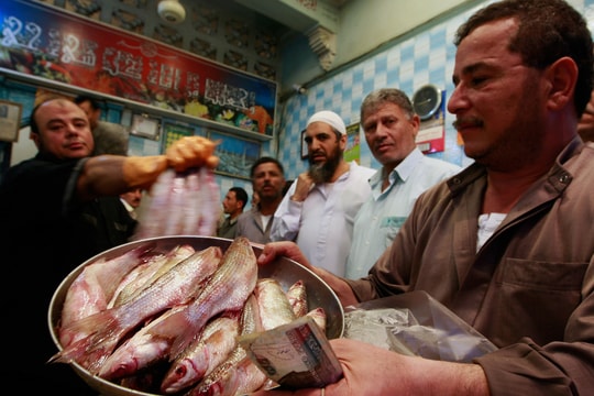 Món ăn nào có thể gây chết người ở Ai Cập?