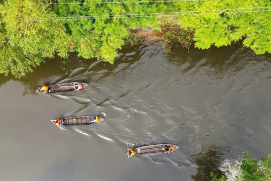 Đua xuồng ba lá giữa rừng tràm Đồng Tháp