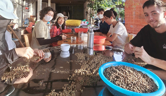 Doanh nghiệp xuất khẩu vướng hoàn thuế GTGT