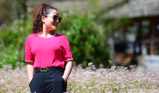 Đắm say mùa hoa tam giác mạch