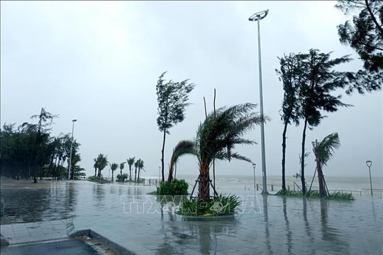 Các tỉnh miền Trung chủ động ứng phó mưa lớn kéo dài