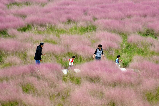 Cảnh sắc mùa thu làm 'say lòng người' khắp Trung Quốc