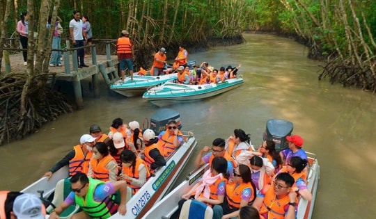 Những trải nghiệm thú vị khi đến Đất Mũi Cà Mau