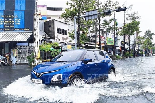 Triều cường dâng cao, gây ngập nặng nhiều nơi ở Cà Mau