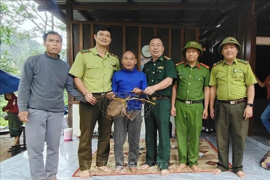 Tiếp nhận từ người dân một con khỉ đuôi lợn thuộc nhóm nguy cấp, quý hiếm