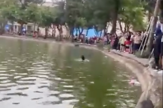 Người phụ nữ tử vong sau khi được cứu từ hồ Hoàn Kiếm