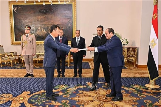 Tăng cường hơn nữa hợp tác trong khuôn khổ Đối tác Toàn diện giữa Việt Nam - Ai Cập