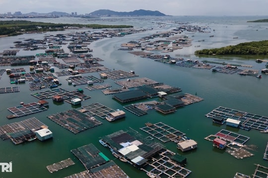 Khám phá khung cảnh bình yên tại xã đảo Long Sơn ở TPHCM