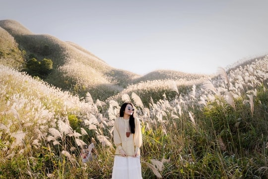 “Thiên đường cỏ lau” Bình Liêu đông nghịt, khách chờ cả tiếng săn ảnh đẹp