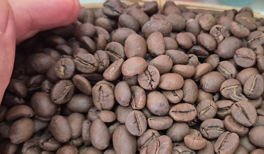 Giá cà phê hôm nay 27-10: Kỳ vọng Robusta trở lại mốc 120.000 đồng/kg