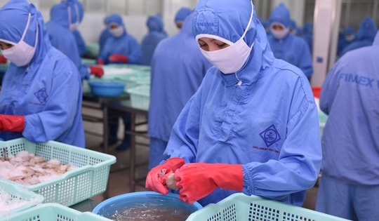 Thuế quan của Mỹ có hiệu lực từ 7-8, doanh nghiệp Việt chủ động thích ứng