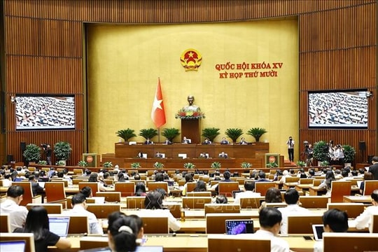 Cần có giải pháp kinh tế để giảm hành vi gây hại với môi trường