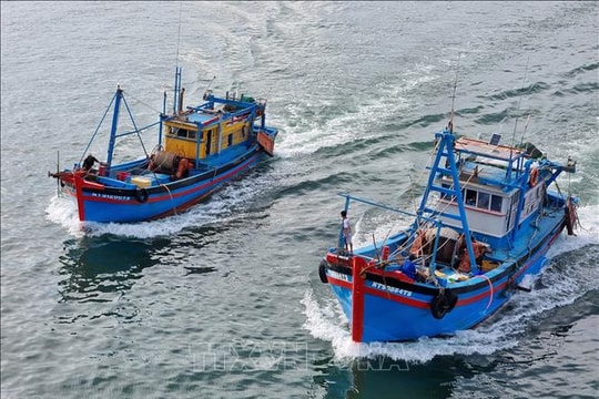 Khắc phục 'thẻ vàng' IUU: Xử lý trách nhiệm người đứng đầu nếu buông lỏng phòng chống